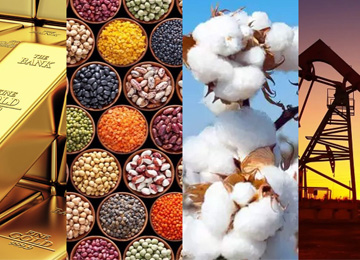Basic Commodities Export