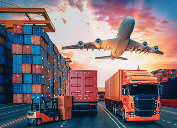 Import and Export